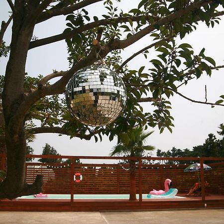 Eridu Cafe N Beds Hotel Seogwipo Bagian luar foto