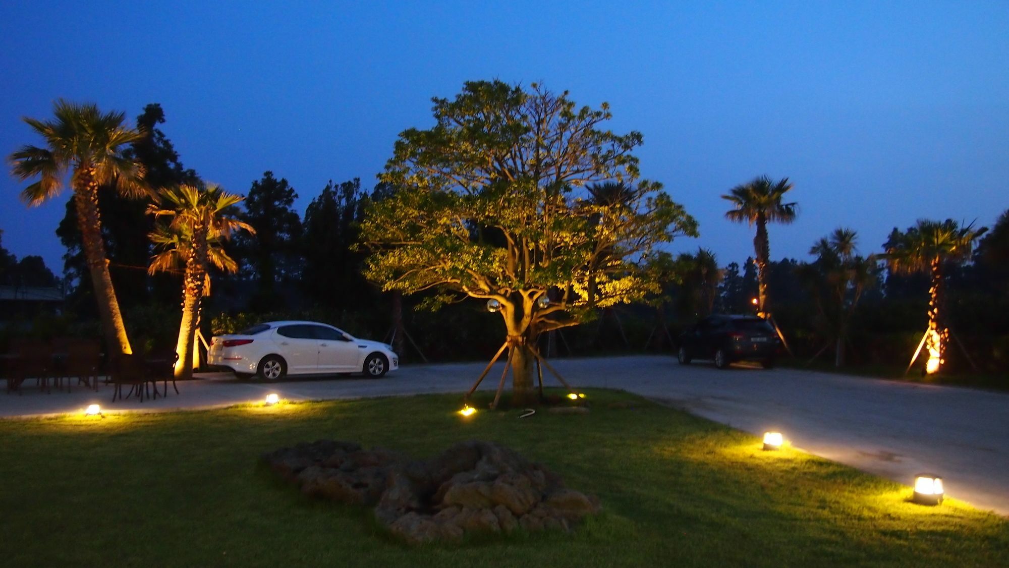 Eridu Cafe N Beds Hotel Seogwipo Bagian luar foto
